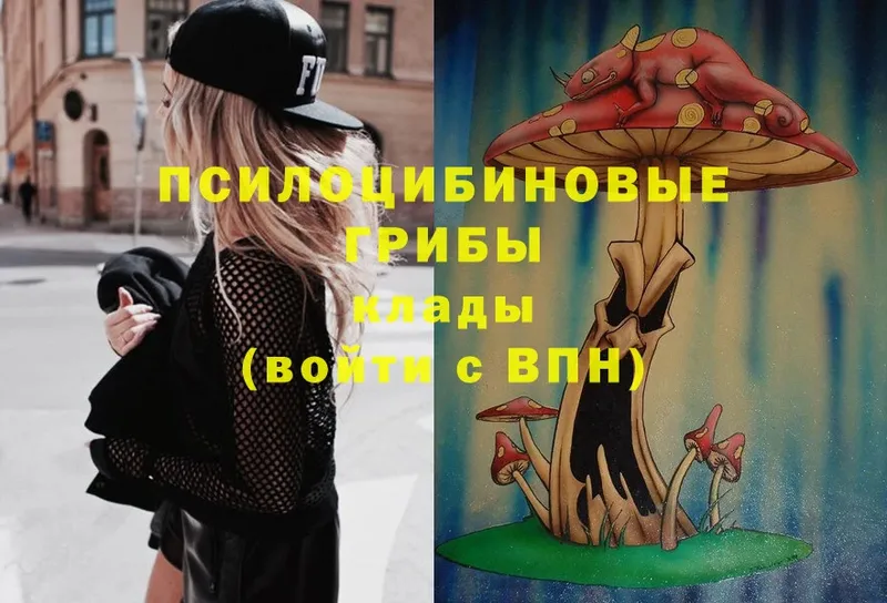 Галлюциногенные грибы Psilocybe Великий Устюг